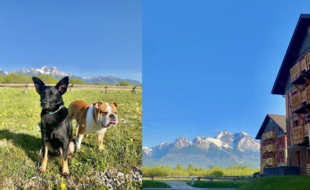 apartman tri štíty